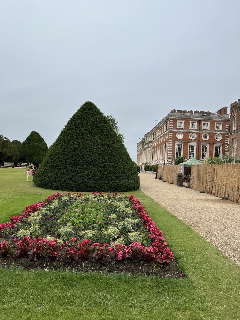 Exterior garden at Hampton Court. Several large evergreen bushes trimmed in conical shapes. One large flower bed with red begonias on the exterior four sides and then interior rows of greenery and purple petunias and pink vinca in the middle. Estimate the flower bed to be 15 by 5 feet.