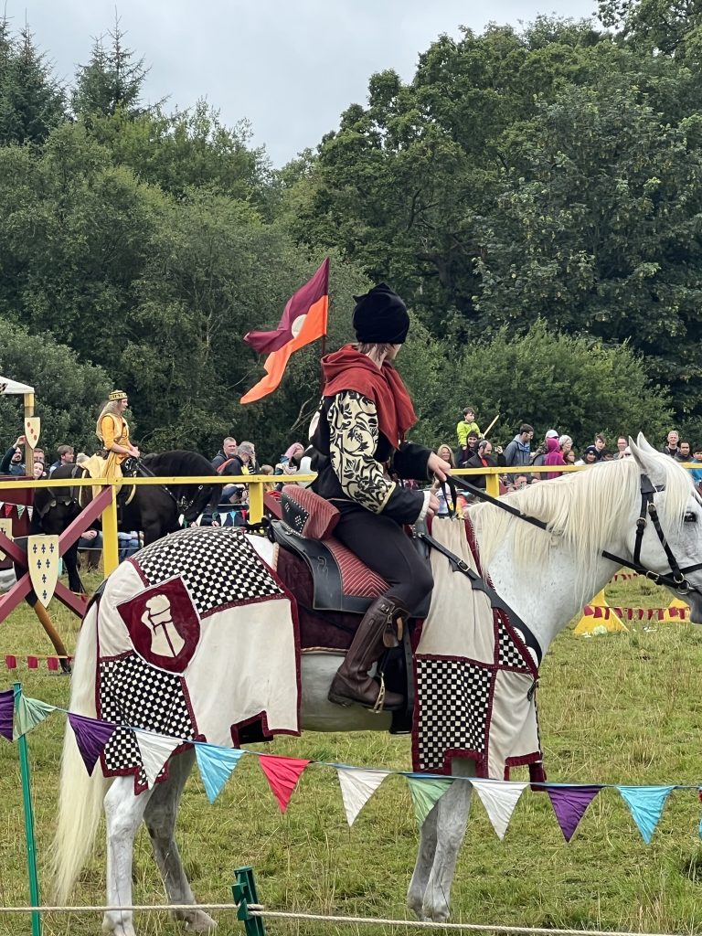 White horse with a squire on it. the horse has a back and white checked drape over the back and front legs.